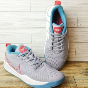 Nike Shoes Youth 6Y Team Hustle Quick 2 Basketball Sneaker Gray Blue CJ7…